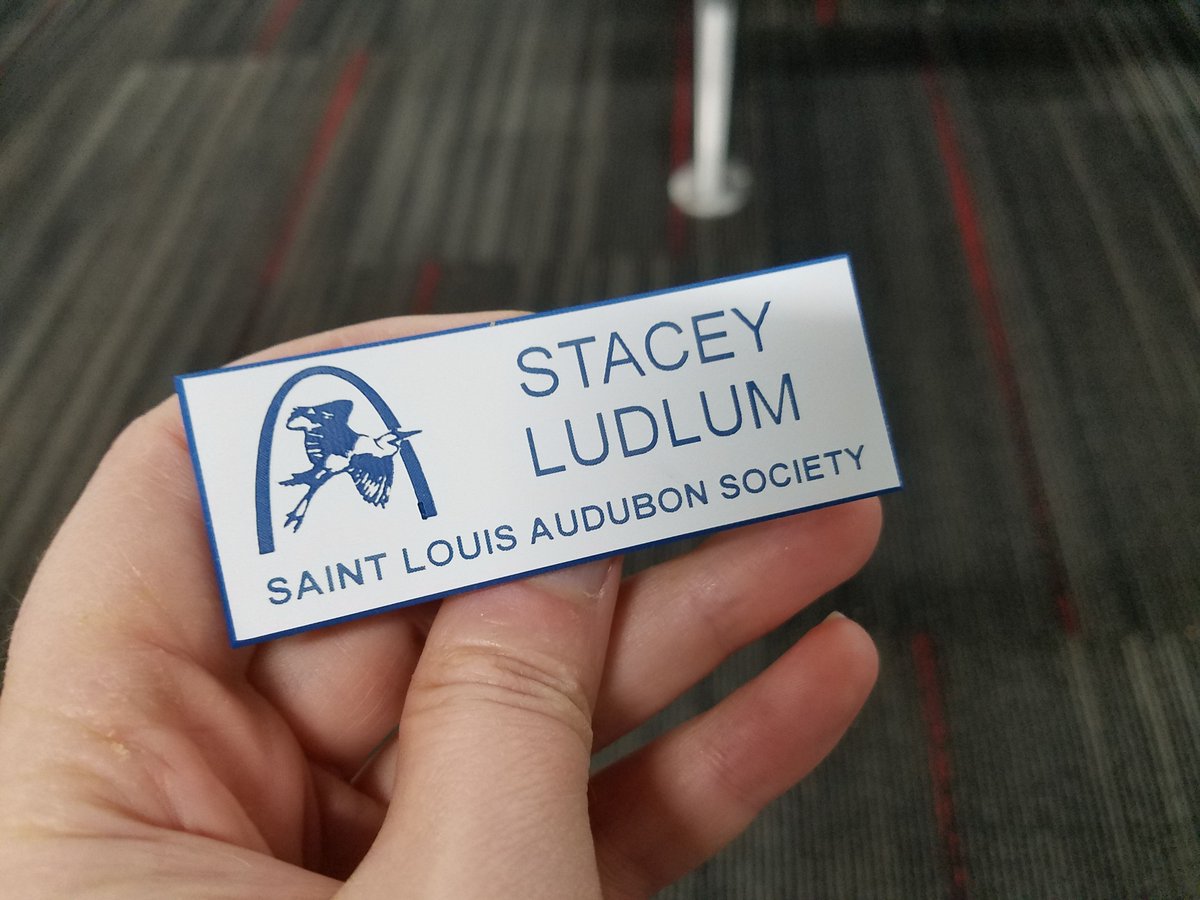 designingzoos's tweet photo. I'm FINALLY official! Thank you, team!
#longdistanceboardmember #audubon #doconservation #lead #nonprofit #birdpride
@stlaudubon https://t.co/7Vk9etIzC7