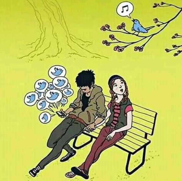 Maria Siles tweet media
