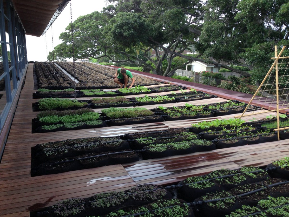 HHF Planners tweet media