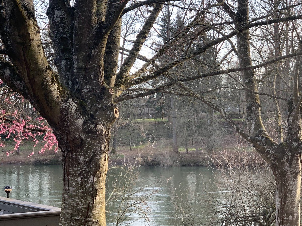 lunarlogic's tweet photo. *pretends this is what the weather still looks like and that it hasn't been raining for 10 days straight* https://t.co/FUzRVutowz