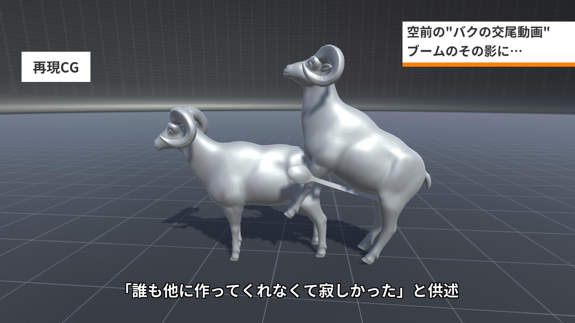 魔球 魔球