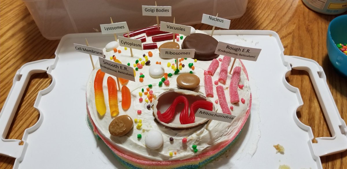 DaniThurgood's tweet image. STEM and science education in the best way possible - edible and creative! What a great way to learn! @DLMS_MS @QuinlansCorner @PeelSchools #yummyscience #kitchenscience