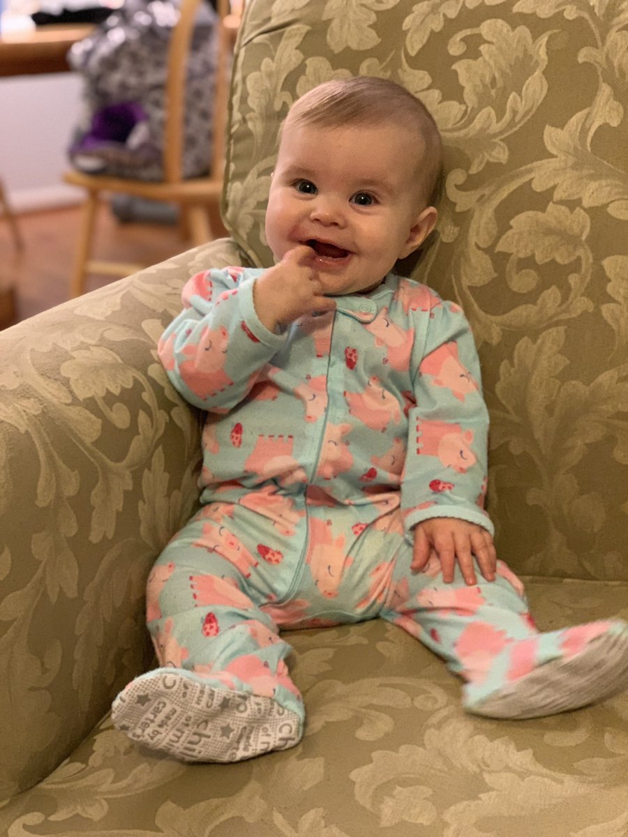 ransvoice's tweet photo. Multiple requests today for a picture of this little cutie. #WinterIsHere #Wintham https://t.co/tgvanJdVJv