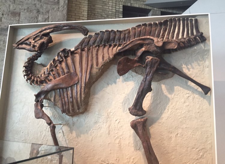 Hope05532821's tweet photo. It’s amazing how these artifacts and fossils are still here today!! I had so much fun and I learned a lot about Canada’s history! You don’t truly appreciate the cultures and animals that were once here unless you see it for yourself! It was a great learning experience!!!!! https://t.co/MI5yBiS6Ug