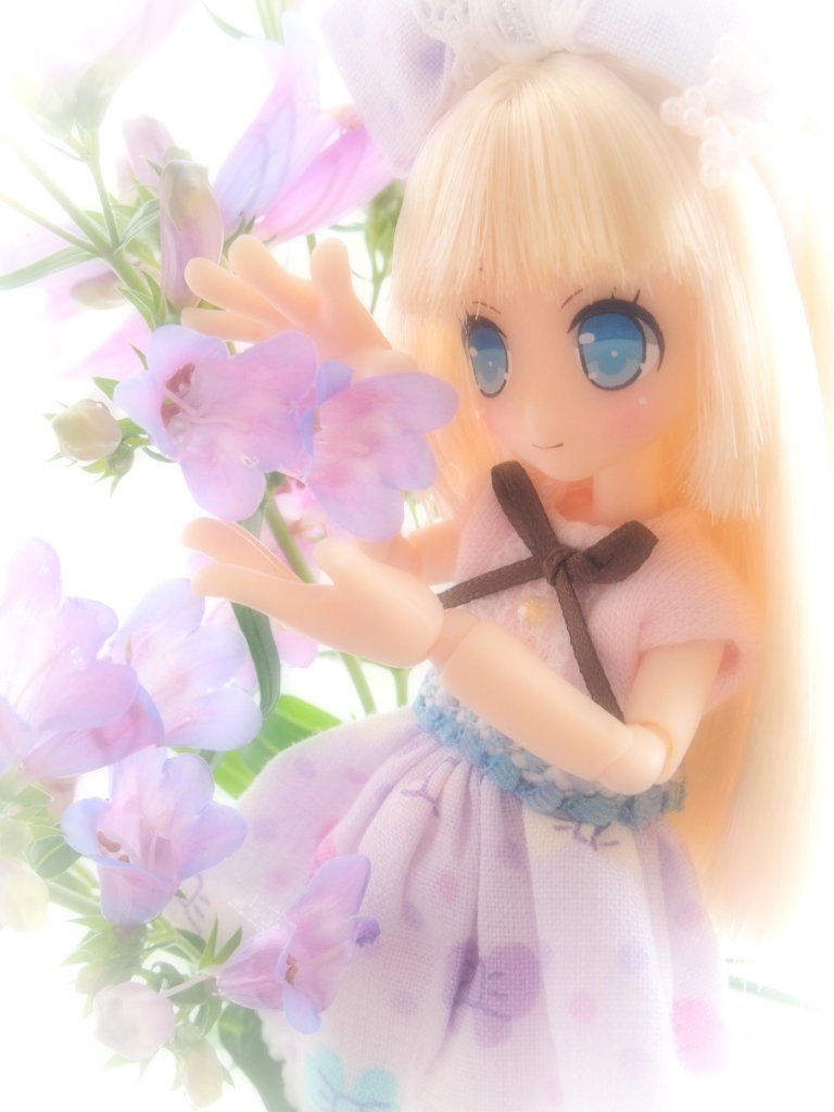 FlowerFairyRiam's tweet photo. 2016年4月11日...
ふにぷに(@funipuni2014)さんのお洋服をリアムに着させてあげると
『お花の妖精』
へと可愛くドレスアップ✨
以来3年間で
ネイリー、リプー、エルノ、イルミィ、ヴェル、そしてクラムの順に
総勢7人のお花の妖精'sが誕生🎉
今日もウチのお花・植物達と楽しく仲良く触れ合っています😊 https://t.co/PRsQ9znxhw
