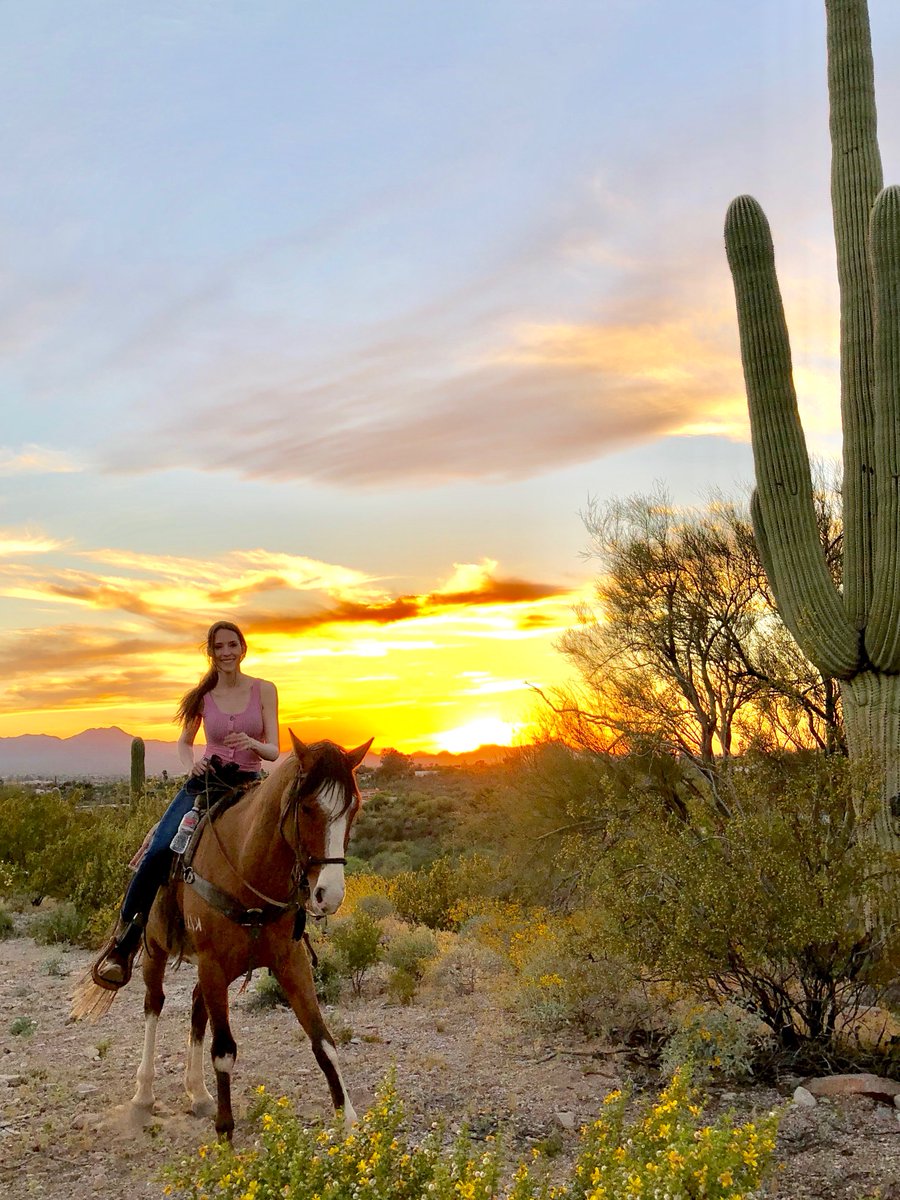 MeganLGuthrie's tweet photo. Sunset ride in #Arizona https://t.co/CQZH8ACD12