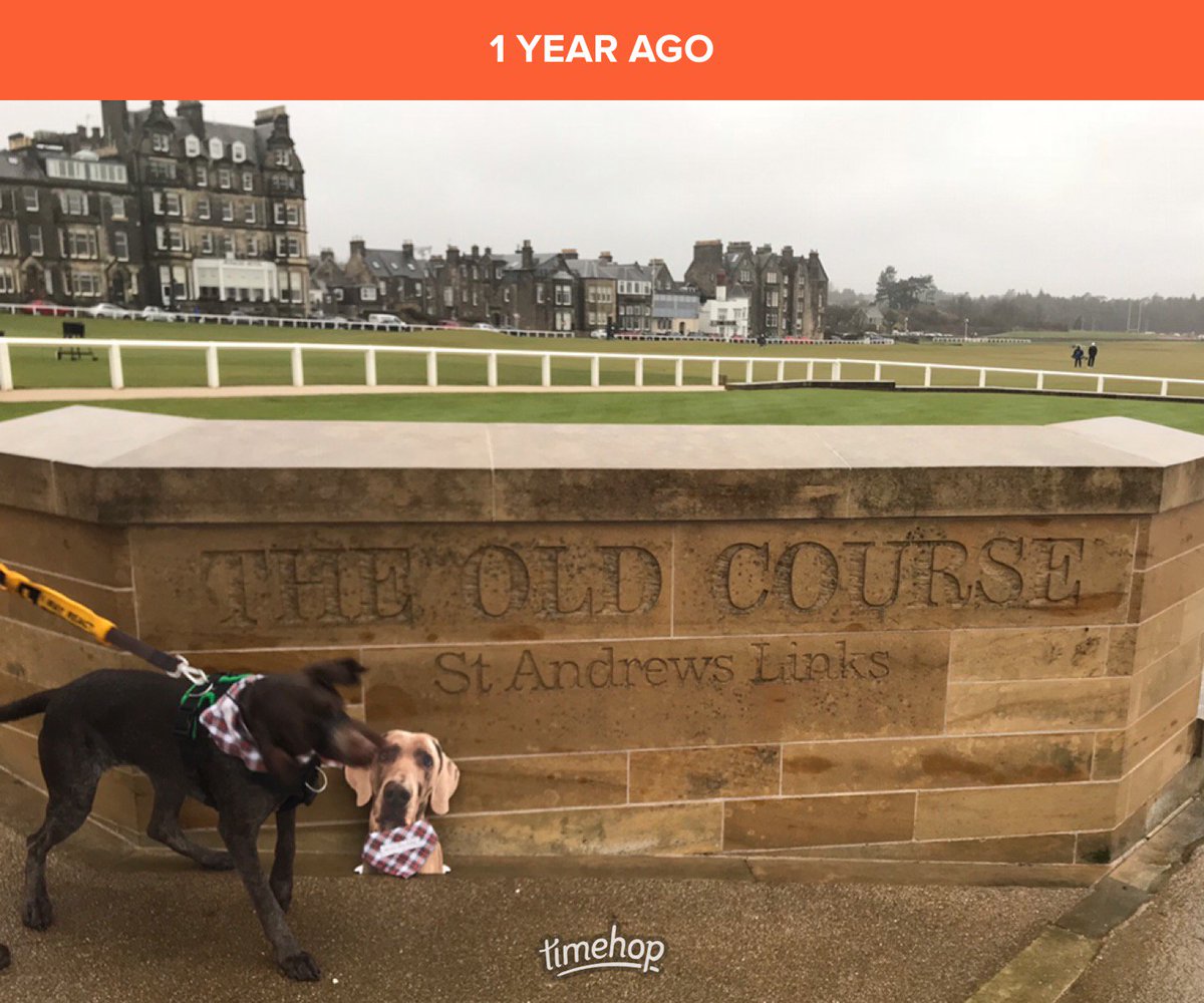 Whiskey_weim's tweet photo. One year ago M&D and #FlatWhiskey had the best day with my Tweetheart, @von_pup! Her super pawsome hoomins showed us around the lovely Kingdom of Fife. π https://t.co/saszcEwdZT