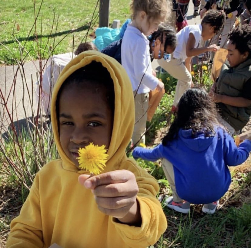 LangleyDCPS's tweet photo. Langley ECE students explored the outside and used their collections to create art #reggioemiliaapproach #reggioemilia #langleyelementary @dcpublicschools https://t.co/iHUlUh9w6J