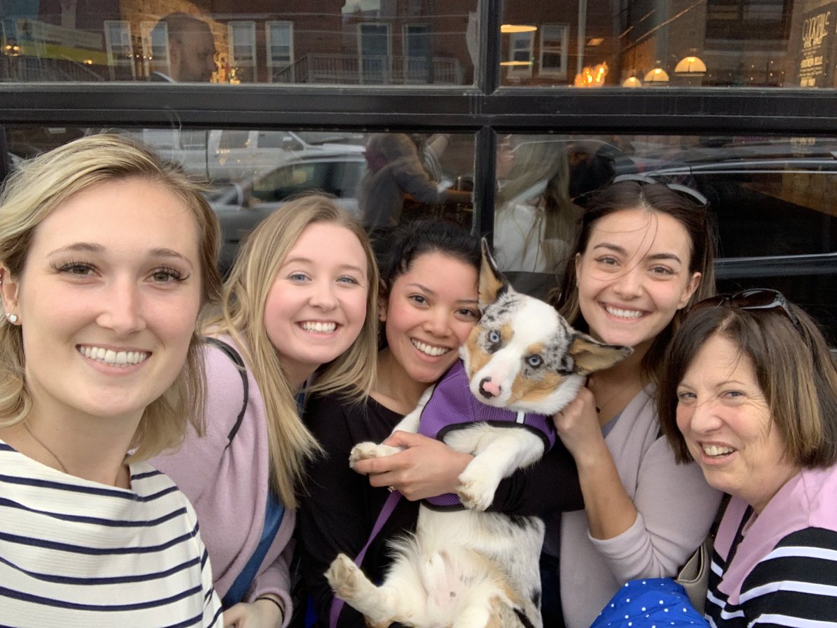 czuegner's tweet photo. So why is #jmcawesome? It is alums ( and a cute puppy) like this. Event planners Madison Bendorf, Victoria Baltimore, ⁦@margaret_jow⁩ met with Anneke Roy and me. Bonus: the wonderful Franklin https://t.co/Hhj6j3aCsF