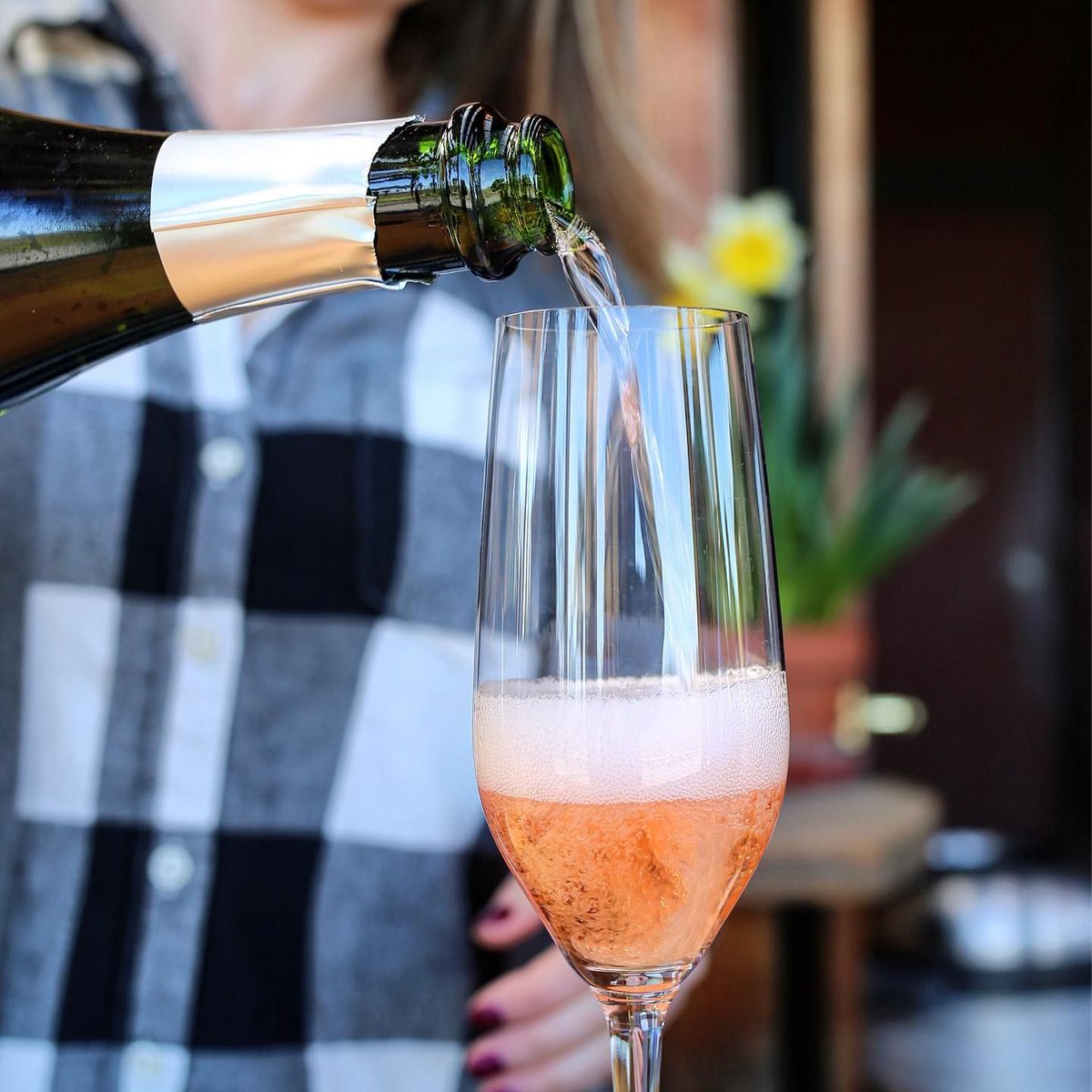 Iron Horse Vineyards tweet media