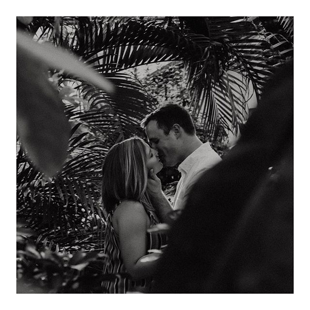 greenhouse lovers.
📸: <a href="/cjshaverphoto/">cjshaverphoto</a> bit.ly/2VJZ2JK