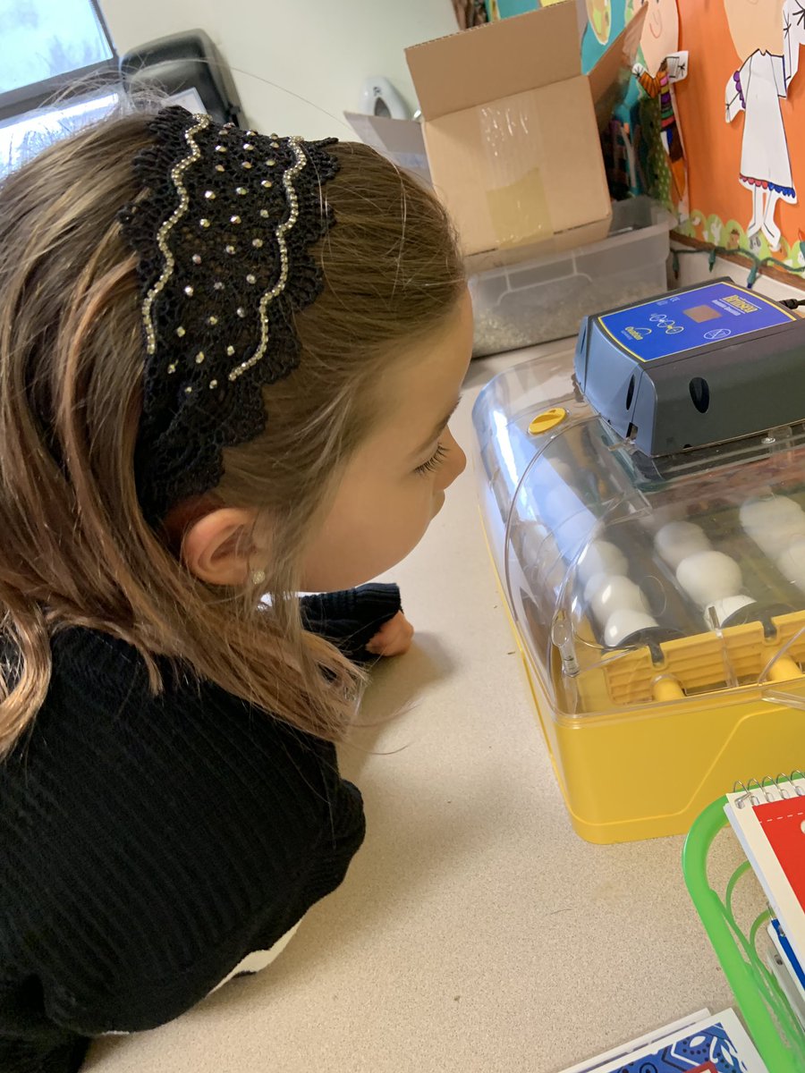 They’re here!! We are all so excited for #ChickHatching to begin <a href="/PCSD_LN/">Lannoye Elementary</a> #RaiderStrong @KDGHoverson