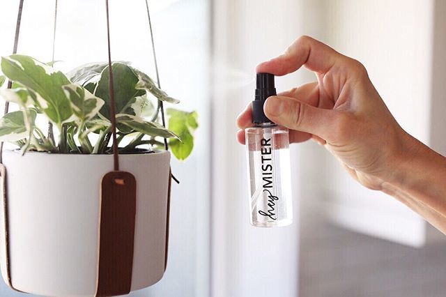 Hey mister (and missus), registration is now LIVE!! Come get crafty with us to create your very own faux leather plant hanger -- plant and pot included! 🌿🙌 Tag those plant lady friends for some modern crafting, plants, cake (!) and, of course, a litt… bit.ly/2P5h330