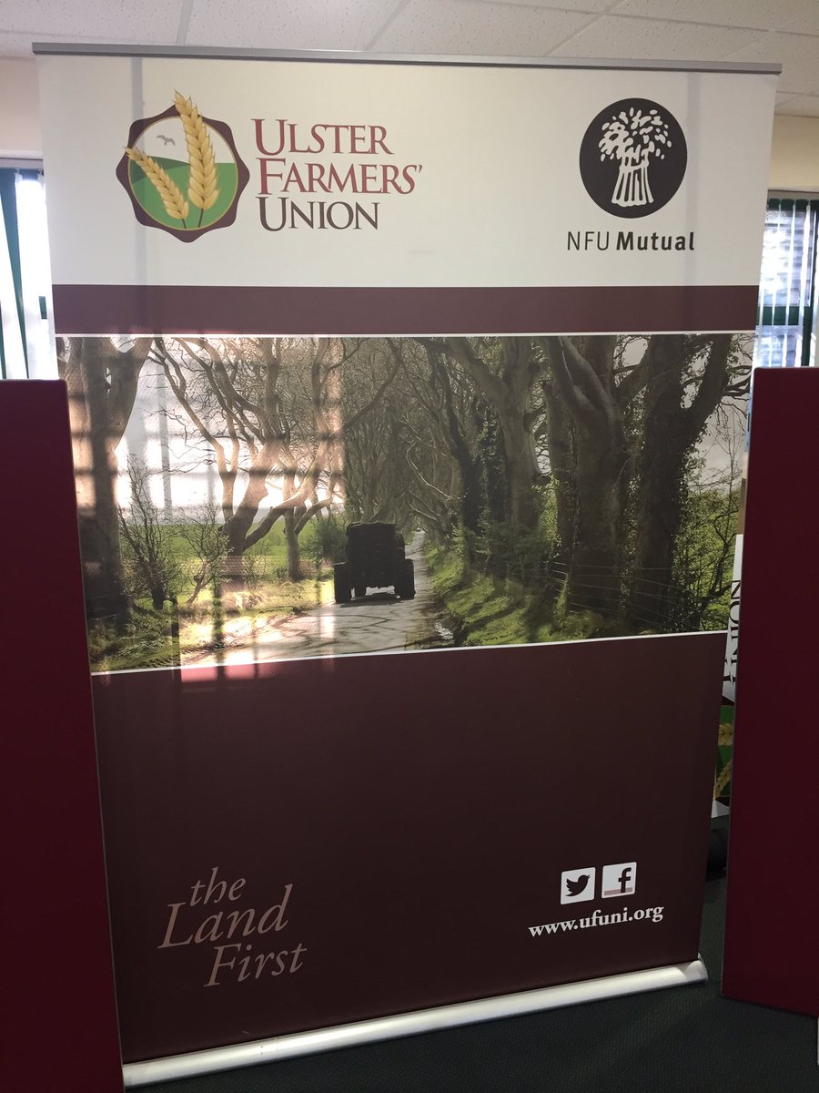 AutoDMPromotions tweet media