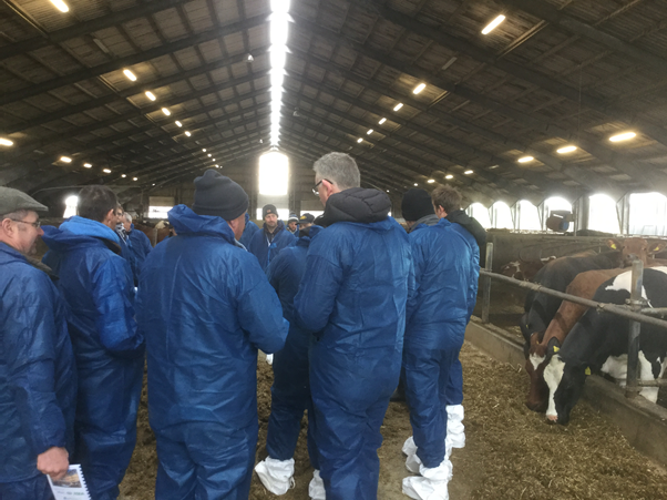 AsdaSustainable's tweet image. We're having a moooovelous time with some of our @ArlaDairyUK dairy farmers in Denmark. We spent the day looking at cattle feeding yesterday. #farming #dairy #bestpractise