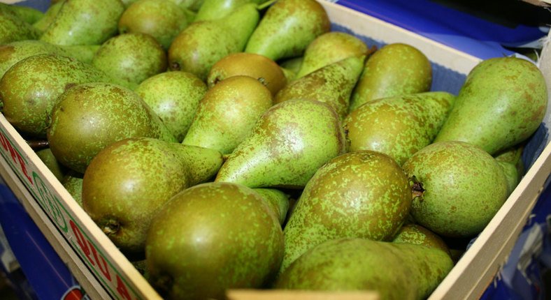 TessaAvermaete's tweet photo. Relevance of @sufisa_eu research by @bioeconKUL on  #fruit #auction   https://t.co/ha7QbKTYlr  @vilt_nieuws https://t.co/GapaZJ1p5v
