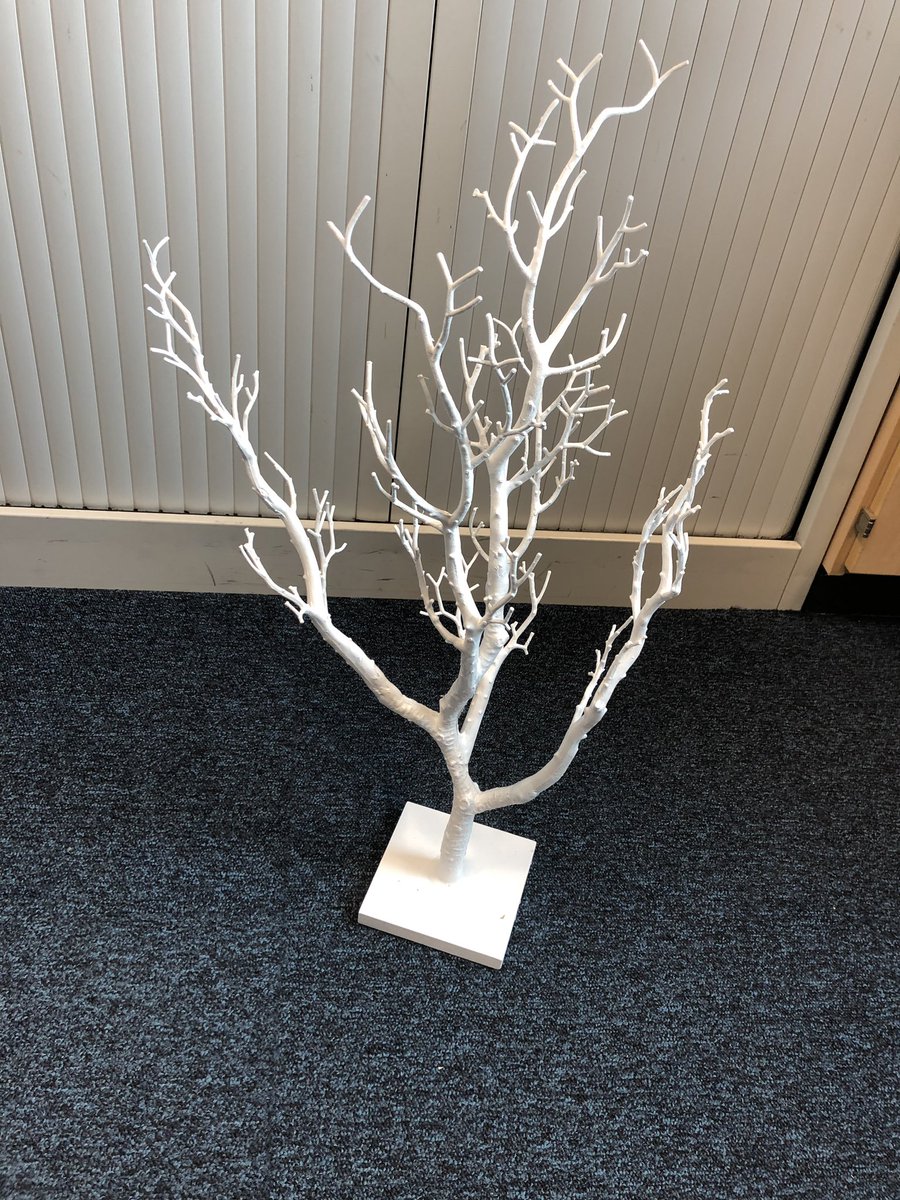 Looking forward to using the “wishing tree” tool for Girls consultation in @TEAMPEGW @Greenwood_Acad Let’s raise the bar for girls participation increase within Greenwood Academy ⭐️ #FitForGirls #participation @YouthSportTrust @NAActiveSchools #ActiveSchools