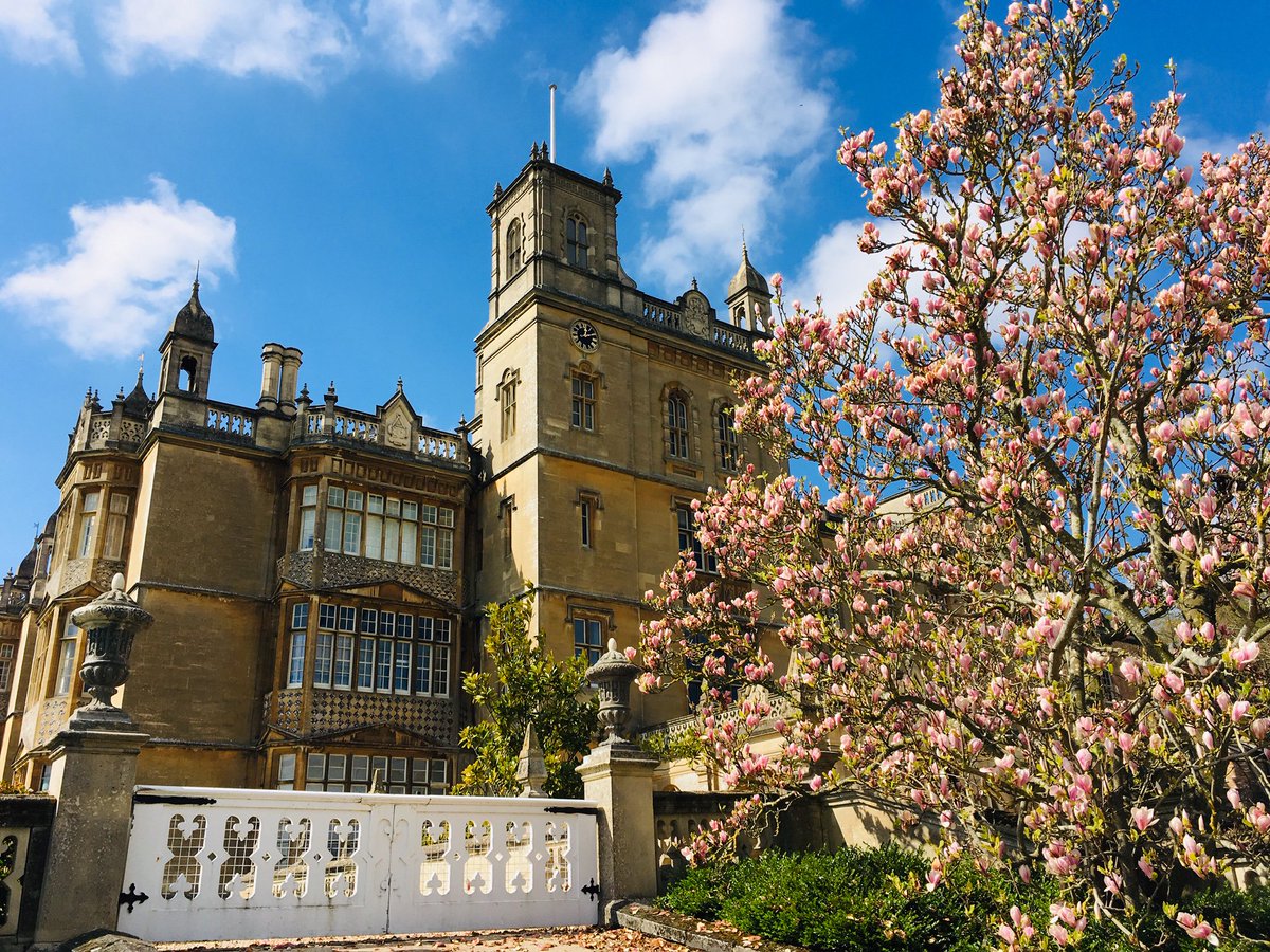 EnglefieldUK's tweet photo. Blue skies and spring flowers, Englefield House looking beautiful in the sunshine. #Berkshire #EnglefieldHouse #springtime https://t.co/UT3Yu3Mxwn