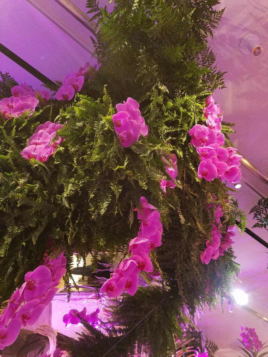jbkny's tweet photo. @intersectNYC #ReflectiveNature by #JeffLeatham #botanical #Nature #Flowers 💐 #Rose 🥀#Pedals 🌹 #Art #minimalism #Design #FomoFeed #museumiadventure #ArtNYC 🗽#NYC #Contemporary #Medern https://t.co/o9j1Q7JizP