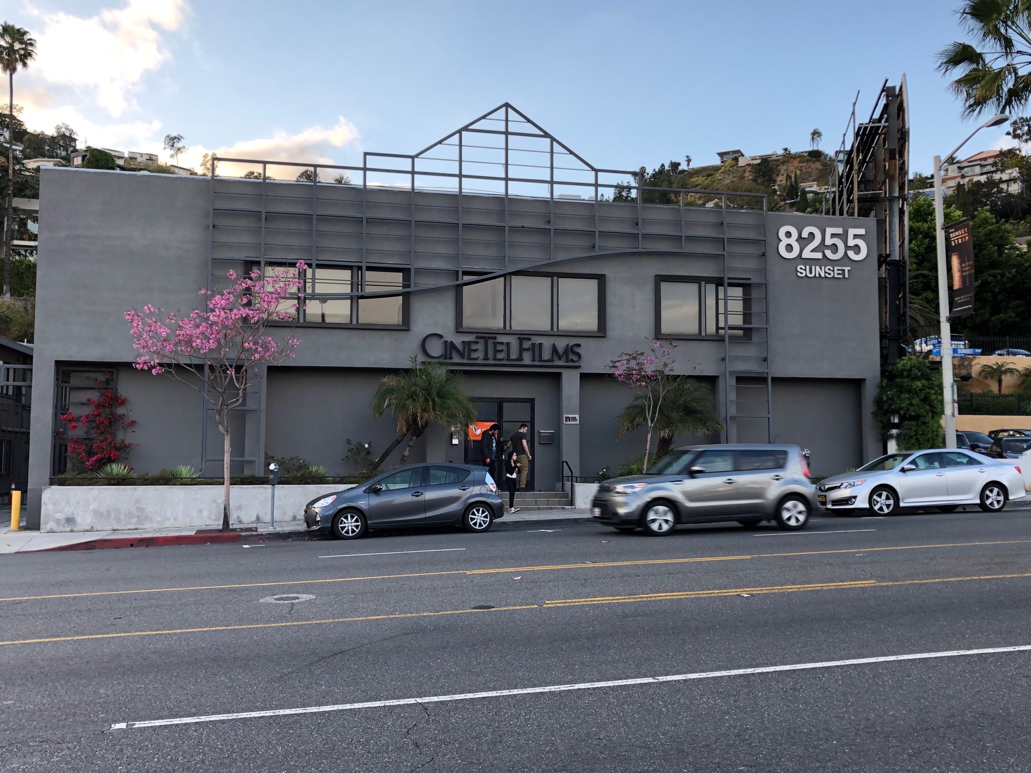 洋楽 YANCEY BOYS / SUNSET BLVD . Amazon.com: Sunset Blvd.