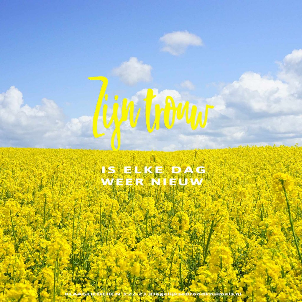 dglksbrdkrmls's tweet image. Klaagliederen 3:22-23 #Goedheid #Heer #HetWoord - dagelijksebroodkruimels.nl/klaagliederen-…