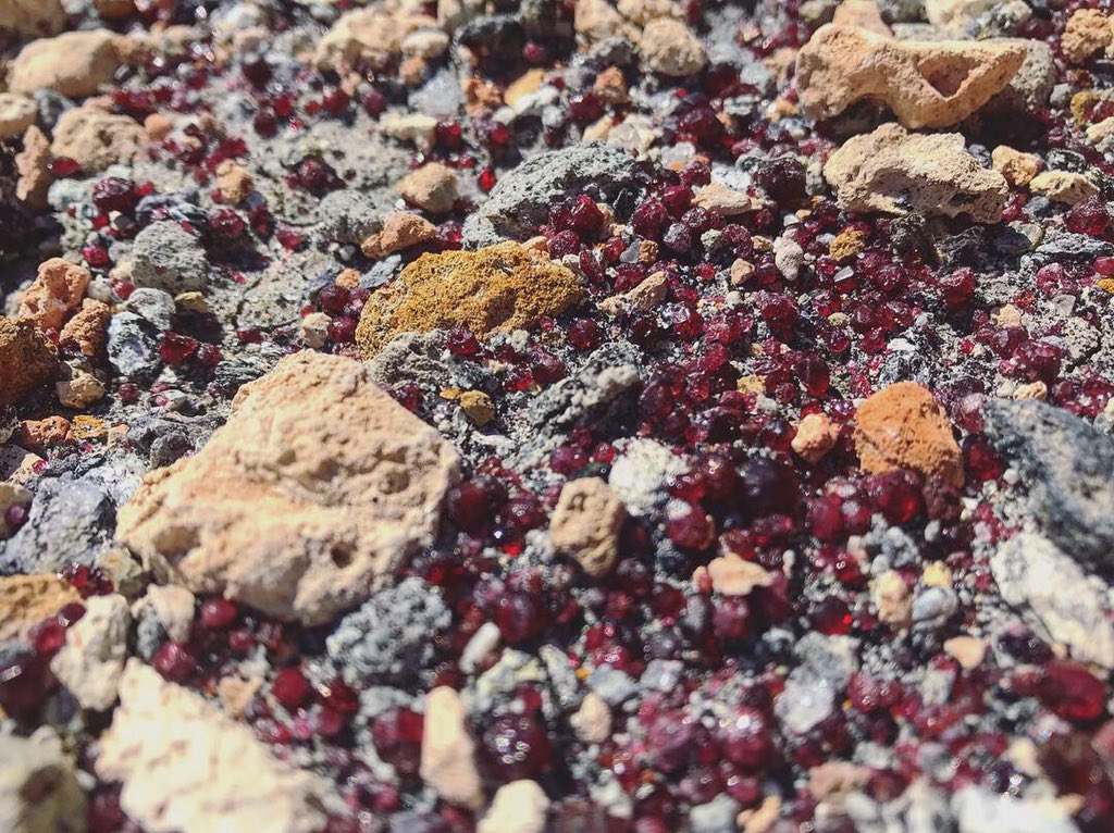 AnnieRoseex's tweet photo. We’re approaching the end of our trip to the Betic orogen, and I must say there’s been a lot of stunning geology. A lot of sand, but also some of the good stuff #metamorphics #metamorphicpetrology #andalusiteschist #folding #garnet https://t.co/o69QQlbueH