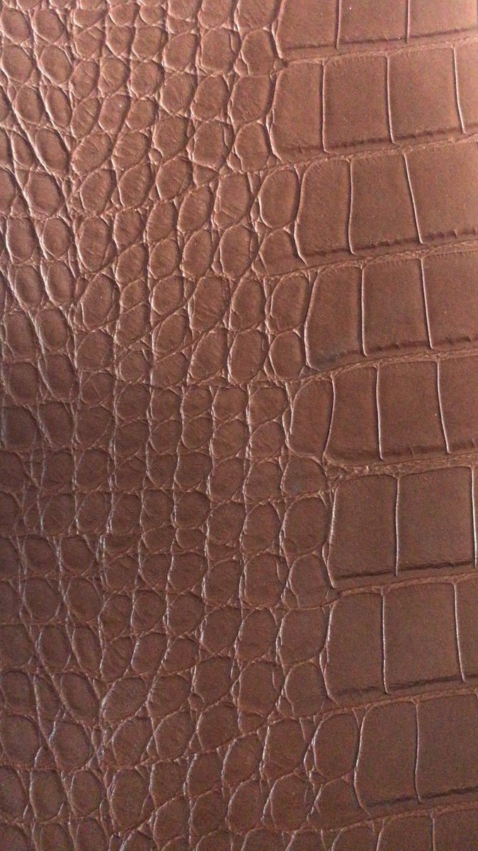 Jenniferlai09's tweet photo. Crocodile PU https://t.co/dNP1ULZrkZ