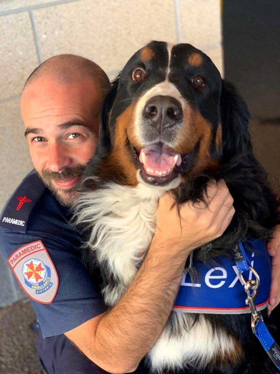 It’s no surprise that at @AmbulanceVictoria we love our animals. So on #NationalPetDay we’ll happily take another opportunity to celebrate all that our (sometimes not so little) friends do for us!