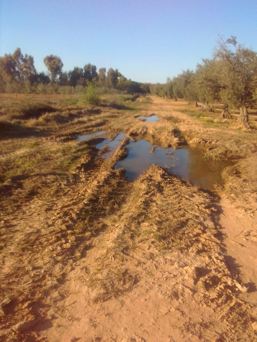 PPNdePela's tweet photo. 🔎🔎TRANSPARENCIA⁉️⁉️DONDE GASTA 70.000€ EL ALCALDE. ⁉️⁉️
EN MATERIAL DE LOS CAMINOS NO. ‼️‼️ https://t.co/X8f6EwZNYm