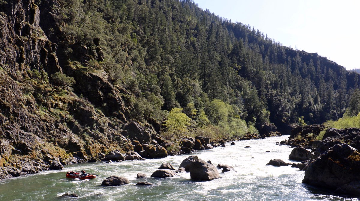 rogue_river's tweet photo. https://t.co/rpxMYlyuHp
Wanna be a river guide? 2019 Guide School is coming up!
#RogueRaftingCompany, #RogueRiver, #GuideSchool, #GetOutside, #LivinTheDream https://t.co/Tx273tJGh4
