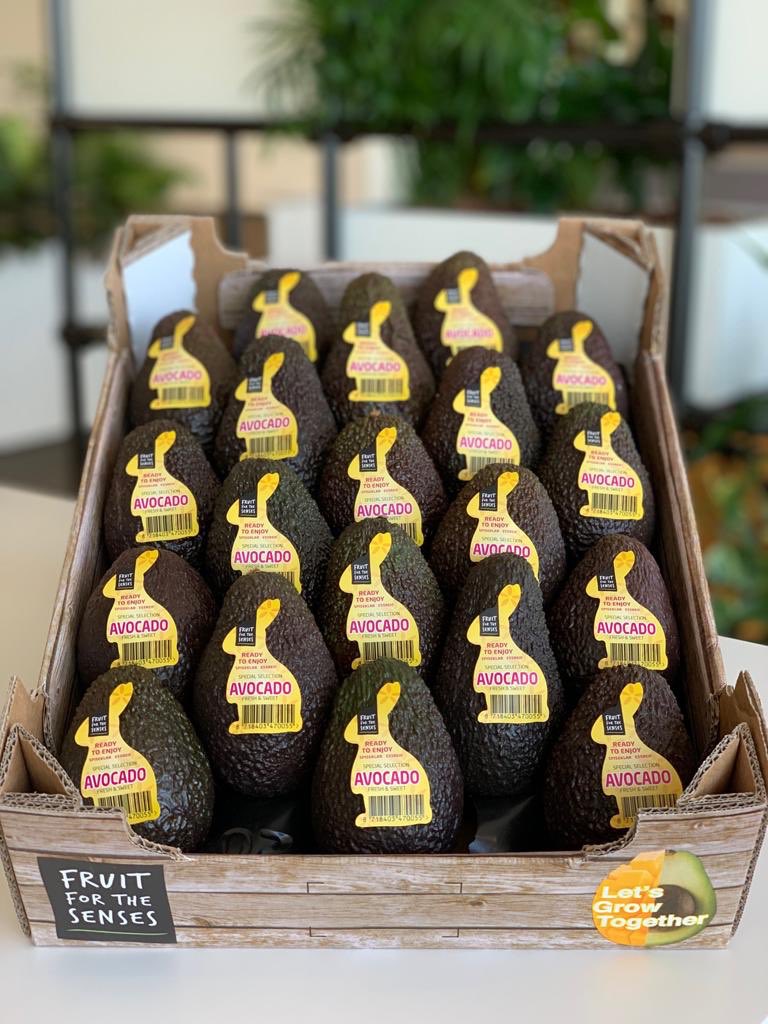 We are Totally ready for Easter!!
Get in contact🐰
•
•
•
•
•
#easter #avocado #bunny #mango #easterbunny #avocadotoast #totalproduce #totalexotics #agfnl