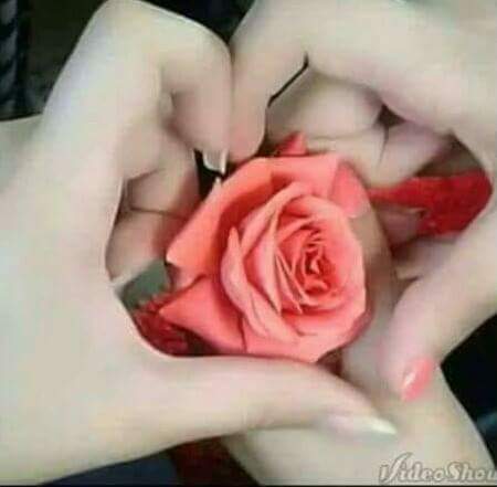 صباح النور من تونس من وين ترودوها