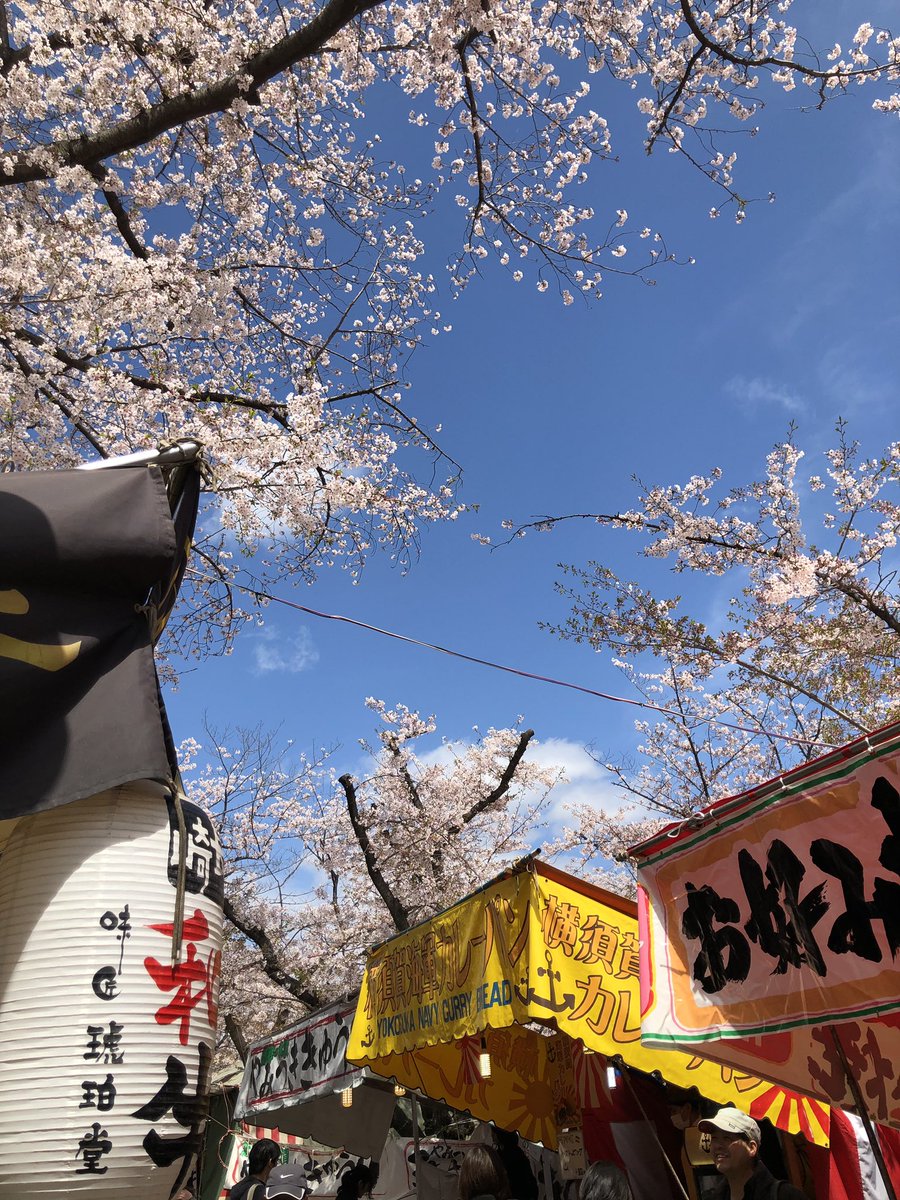 ぢゃい 大阪造幣局の桜 綺麗だった 屋台もいっぱいだった