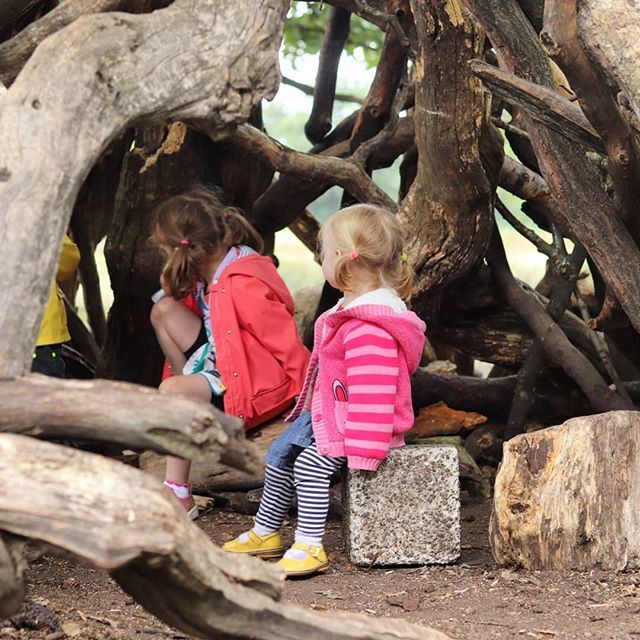 The ladybirds' adventures🐞🐞 tweet media