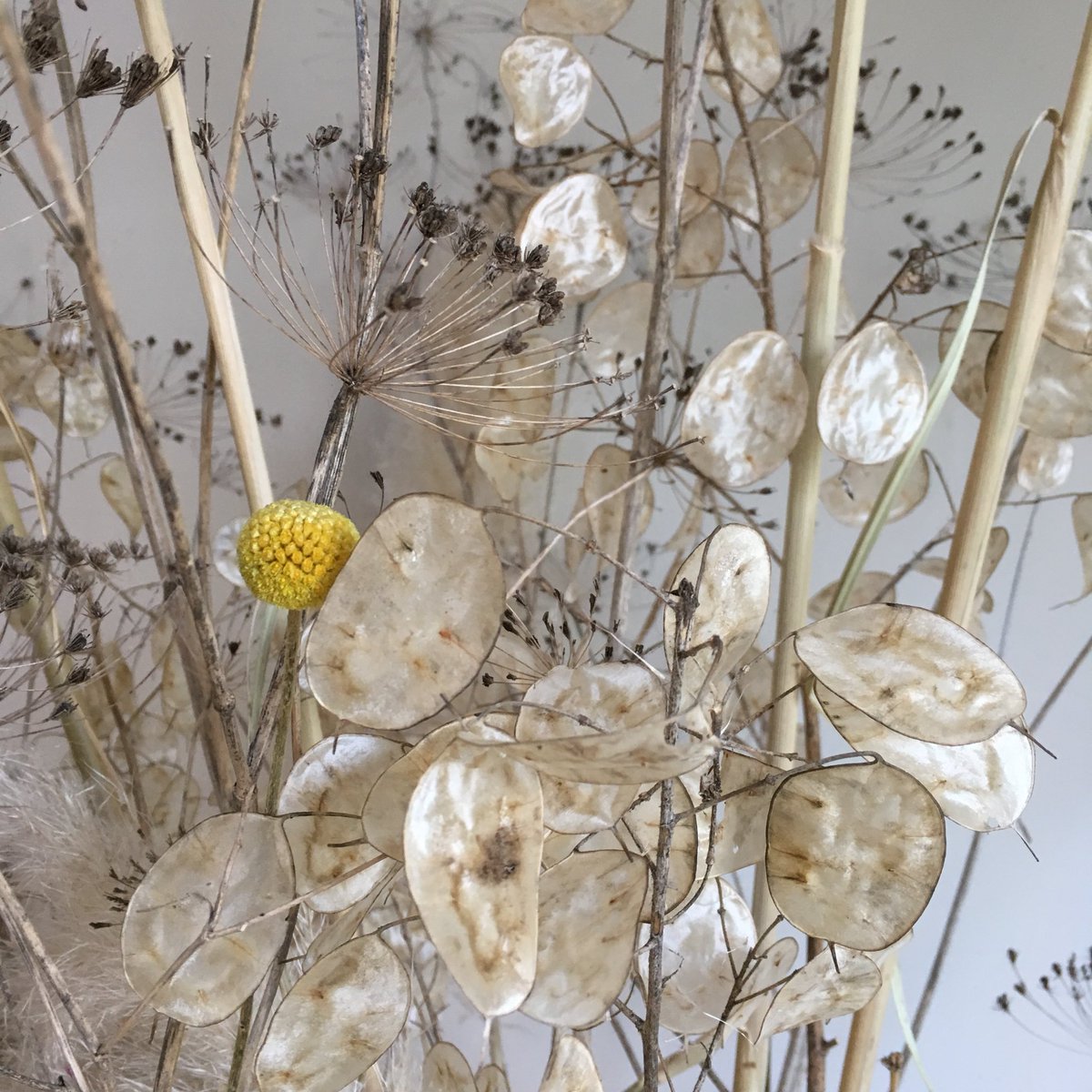 Going yellow for <a href="/INK_festival/">INK Festival</a> in Halesworth yesterday