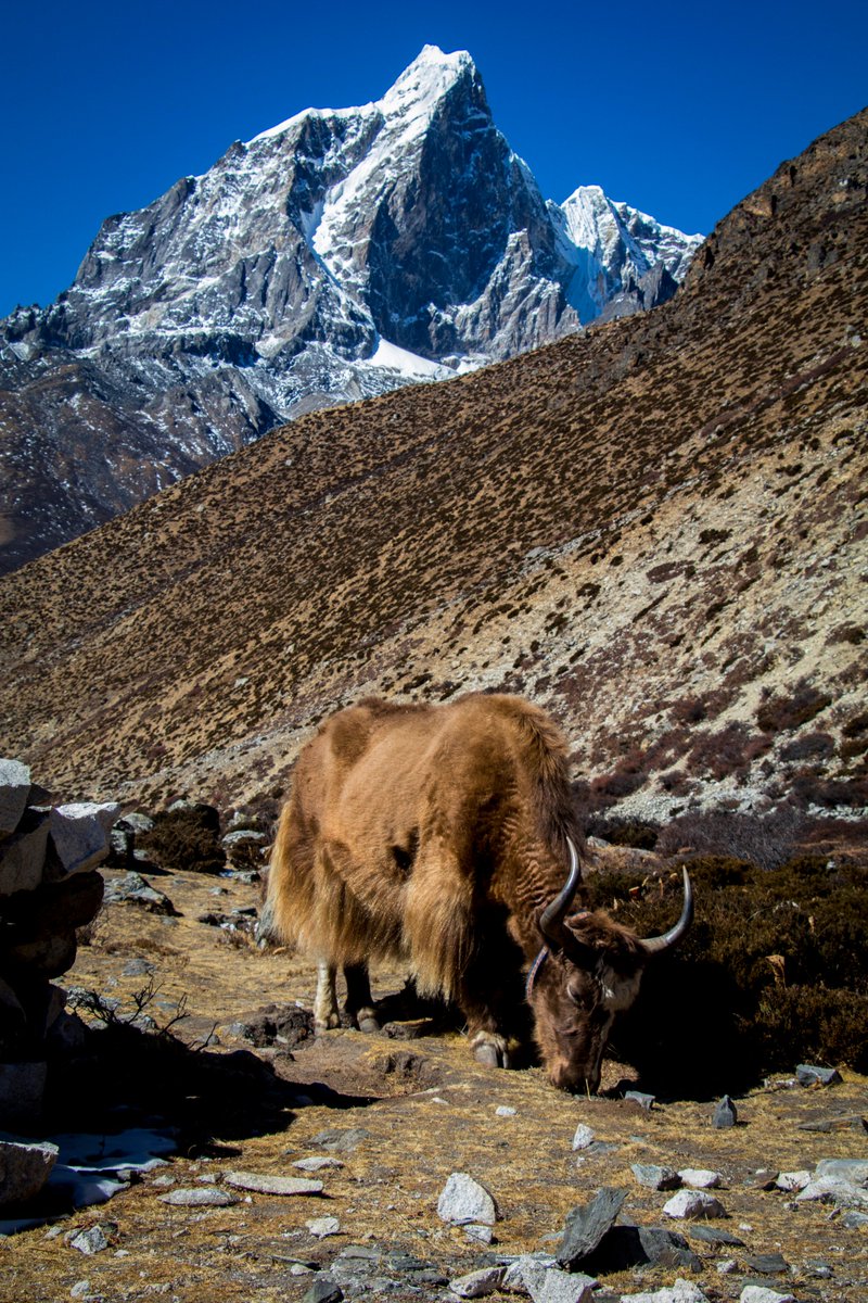 OutsideMaterial's tweet image. outsidematerial.com/portfolio/ever…