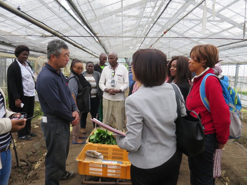 jica_direct_en's tweet photo. Report from Ex-Participant from #Ethiopia

The SHEP training is allowing the participant to provide technical support to farmers and this is helping farmers increase their productivity and quality. See the link for more details.  #ExParticipants
https://t.co/Aa7gCjikDs https://t.co/ZILur3Toap