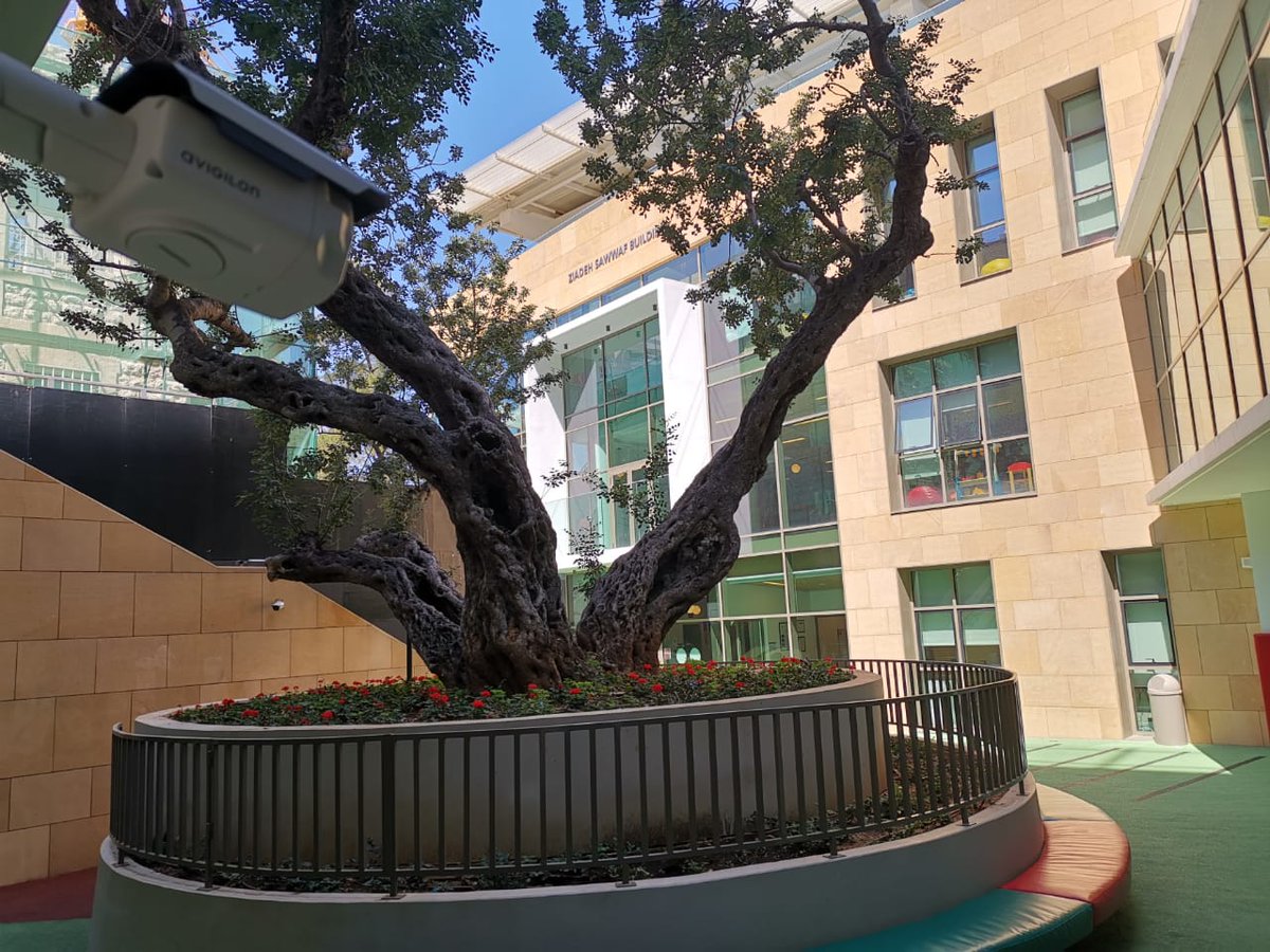 maccorpleb's tweet photo. #Avigilon #CCTV system installed in International College - Beirut.
#avigiloninaction #CCTVsystem #CCTVsystemInstallation #Security #SecuritySystem #ProtectYourProperty #anotherprojectbymaccorp #maccorpersdoitbest #maccorpisalifestyle https://t.co/u6fgJEKpZc