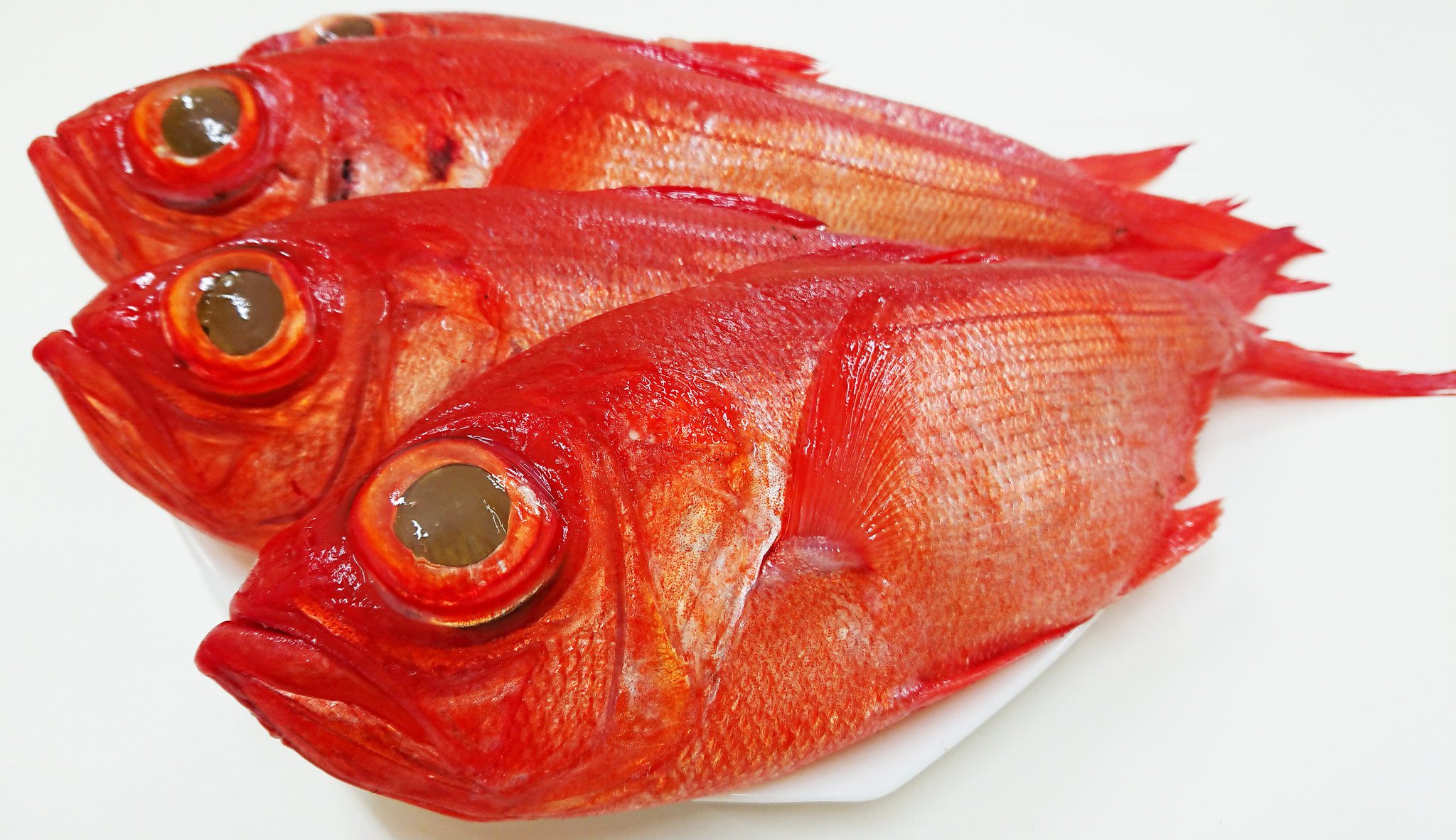 むろと廃校水族館 先日 漁師さんからキンメダイを頂きました 室戸は魚が美味しく 猫またぎだ とバカにする人もいらっしゃいますが 刺身 煮付け 味噌漬け焼き等々 またげない美味しさ 館長に味を聞くと キンメダイ改めキンメダルだね と むろと廃校水族館 先日 漁師さんからキンメダイを頂きました 室戸は魚が美味しく 猫またぎだ とバカにする人もいらっしゃいますが 刺身 煮付け 味噌漬け焼き等々 またげない美味しさ 館長に味を聞くと キンメダイ改めキンメダルだね と