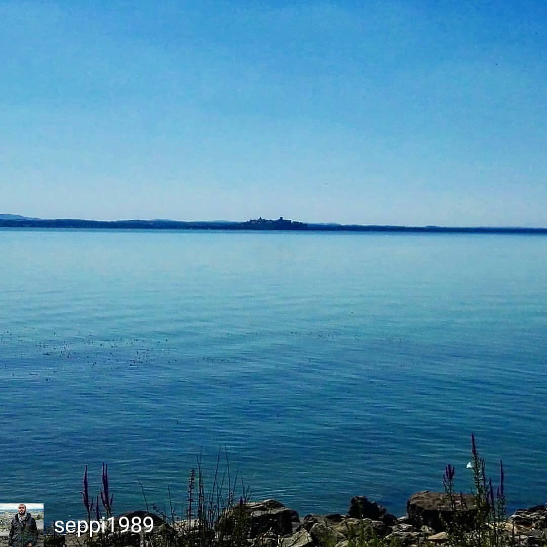 Isola_Polvese's tweet photo. from @seppi1989 - Calma piatta. #trasimenolake #castiglionedellago #trasimeno #umbria #summer #lago #polveserep (presso Cea Isola Polvese) https://t.co/0w1Dy5gzG3