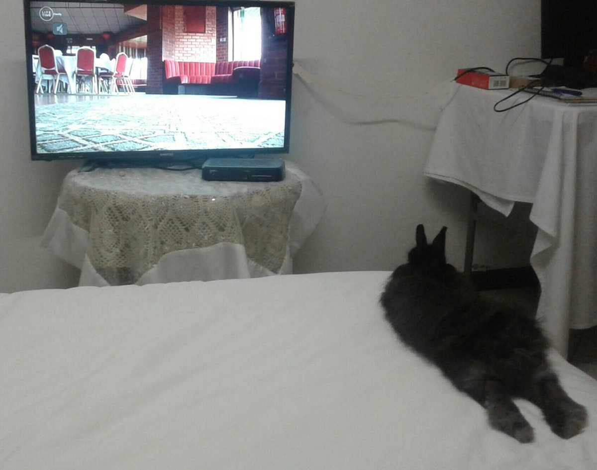 Zanri Strydom tweet media