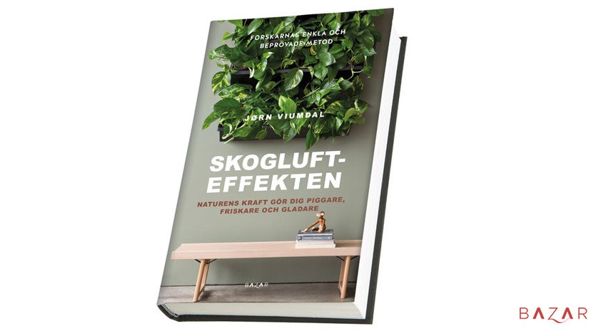 BazarforlagSE's tweet photo. Makalösa Skogluft-effekten nu på svenska! Vill du se hur bl a google och andra företag gjort? Kolla in @skogluft så får du inspiration! #bazarforlagse #skogluft #jornviumdal #luft #ljus #vetenskap https://t.co/3V7LgOX3Sw https://t.co/joBnajI4Bk