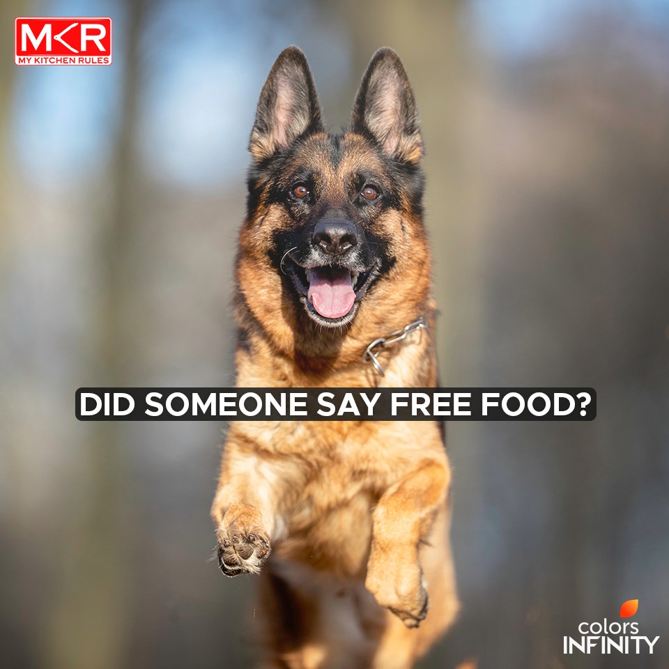colors_infinity's tweet photo. Unlike therapy, free food doesn’t cost anything.
For more such therapy sessions, watch @mykitchenrules on weeknights at 9 PM. #MKRonInfinity https://t.co/fQprP5ACVd