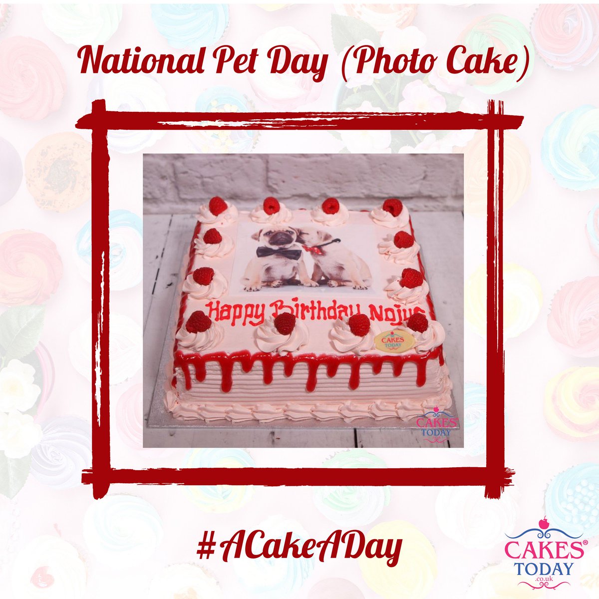 cakestodayco's tweet photo. Happy #NationalPetDay to all of our animal lovers. πΆπ
Comment below with the name of your pet for a chance to win a sweet treat! #ACakeADay #London #CakesToday https://t.co/tnHwv7nw5C