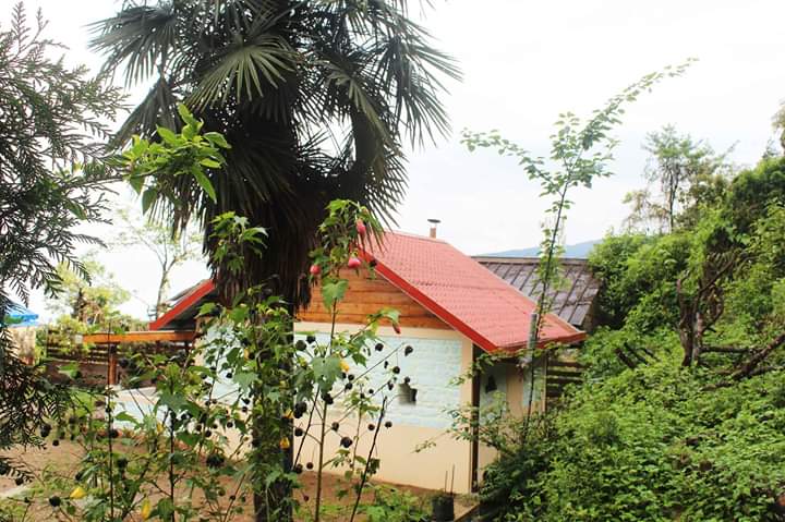 Holiden1's tweet photo. Darjeeling - A city spread in ribbons over a steep mountain ridge, surrounded by emerald-green tea plantations and towered over by majestic Khangchendzonga 

Experience Darjeeling From This home here: https://t.co/FGTIMtjlwO

#holiden #holidenindia #darjeeling #Homestay https://t.co/GqxGpnJS8Z