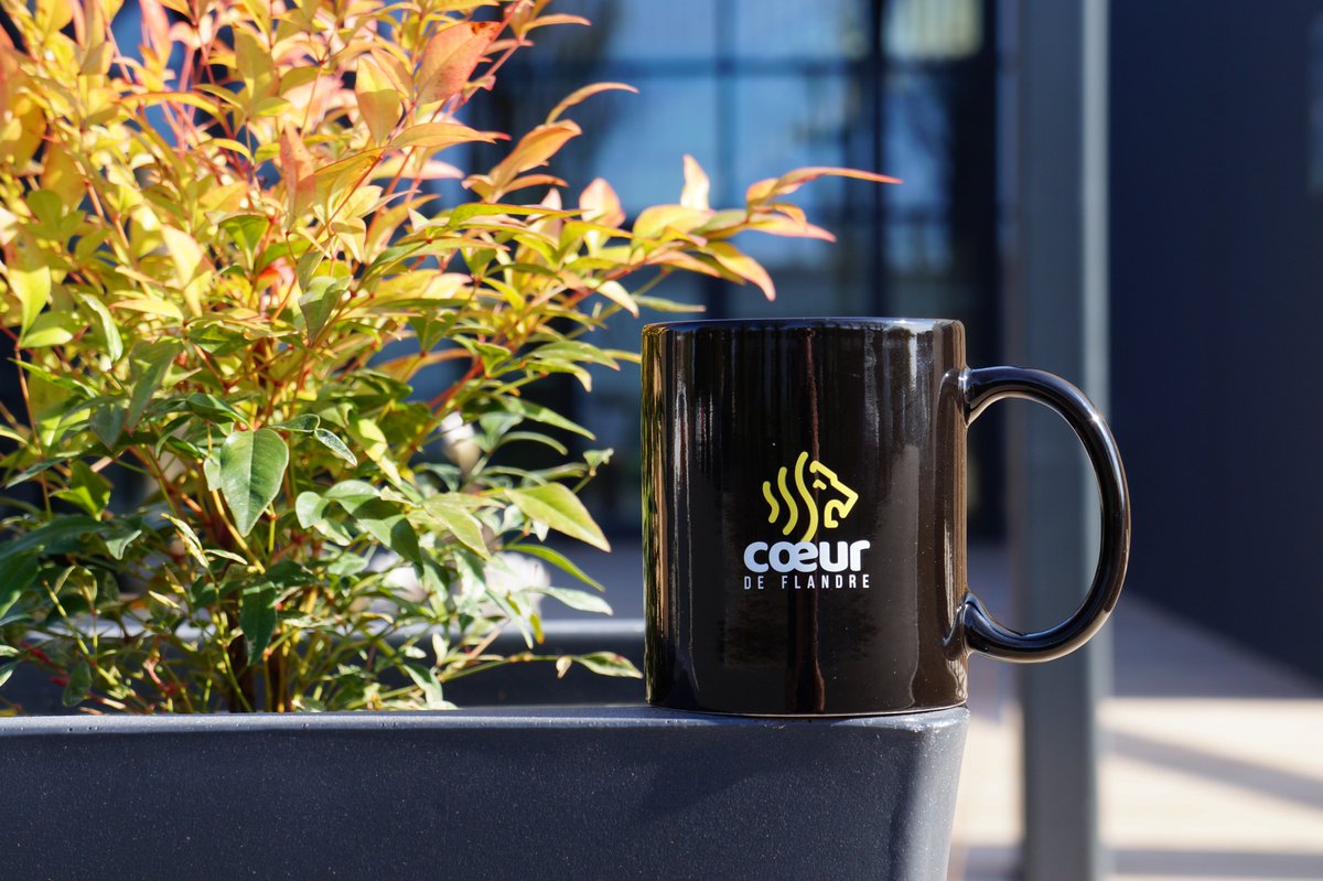 La Flandre est belle sous le soleil 💛🌞#CoeurdeFlandre #JeudiPhoto #Nord #Flandre