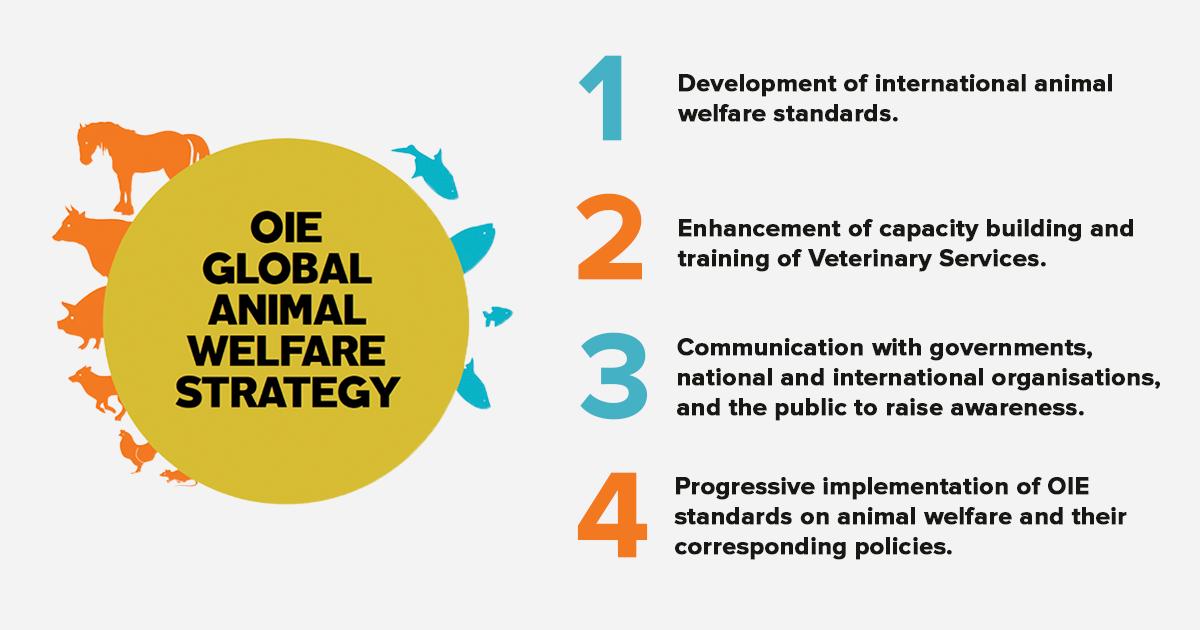 Twitter 上的 World Organisation for Animal Health: Twitter 上的 World Organisation for Animal Health:
