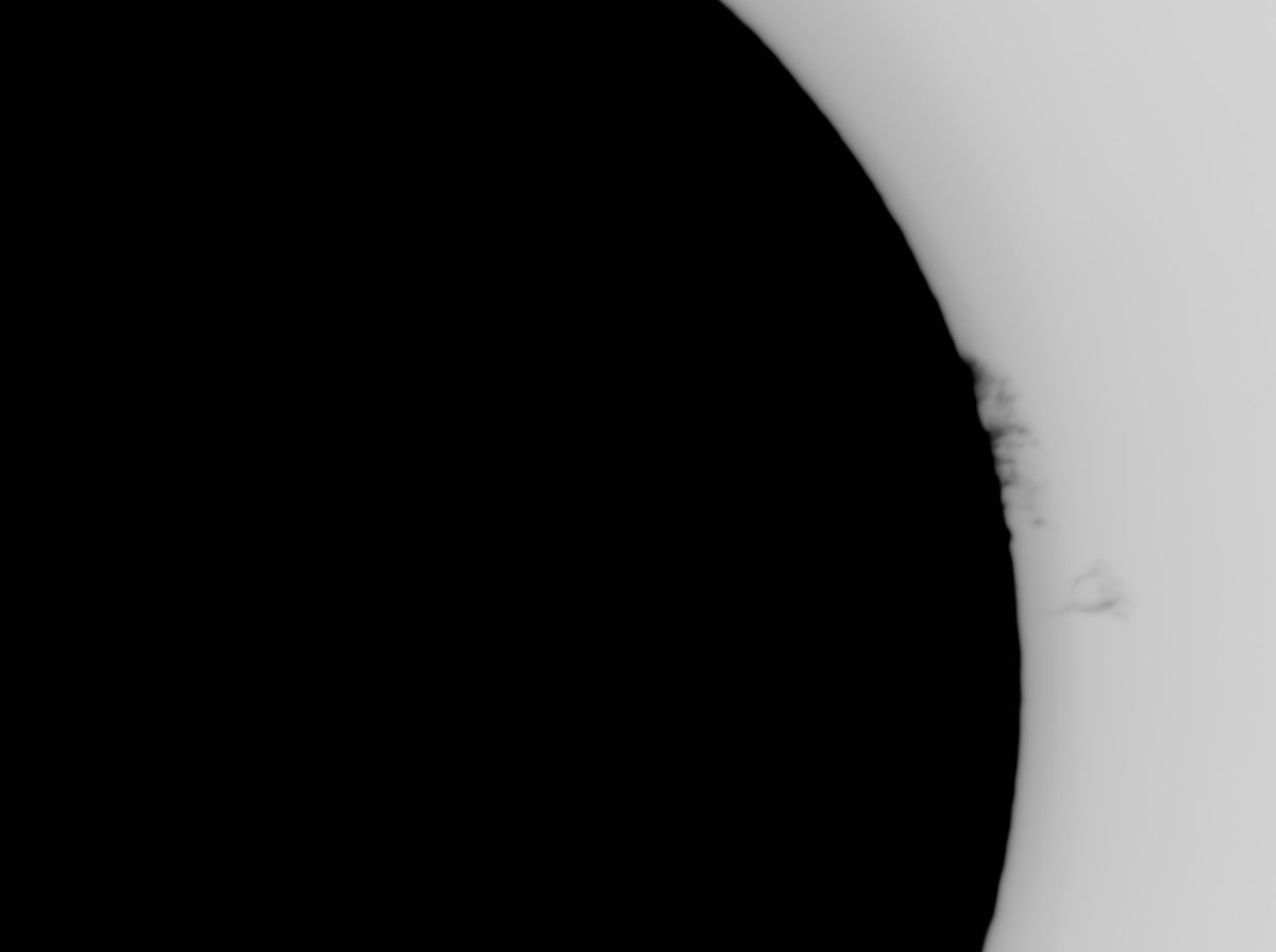 HaSungazer's tweet photo. Nice prom on todays Sun (inverted) #solarprom #solarimaging https://t.co/sW1xIT9Ncz