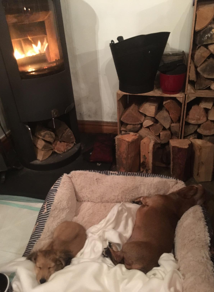 CUSTOMER REVIEW ⭐️⭐️⭐️⭐️⭐️
  "Really strong and hold even the biggest logs. Absolutely love these. Fit on beautifully. The crates are lovely quality."