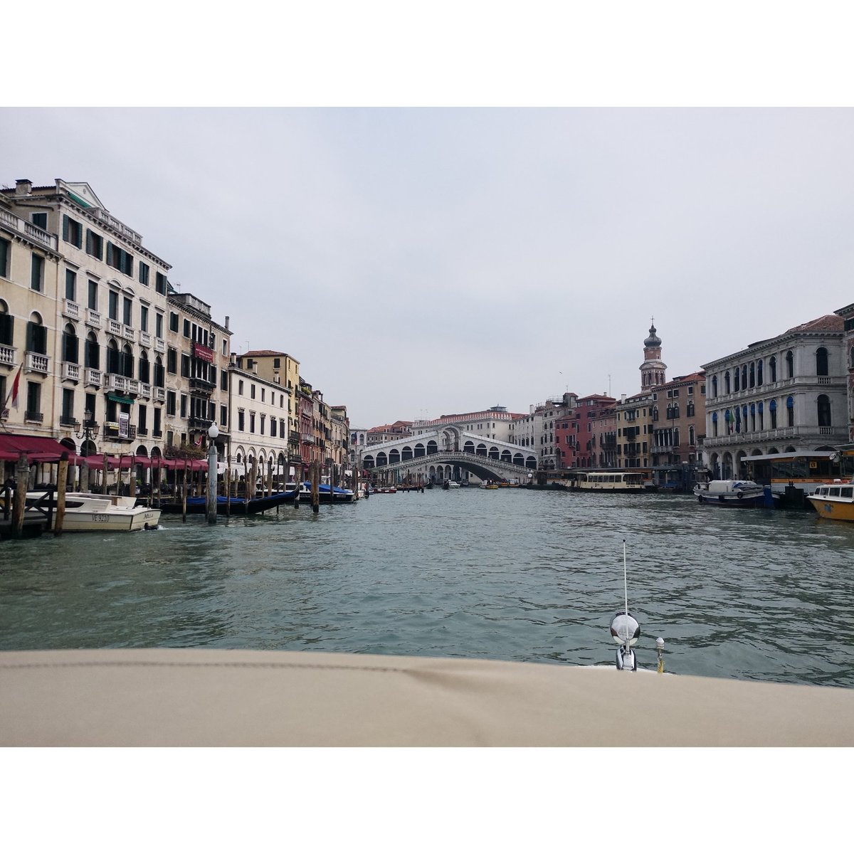 Rongrongcat's tweet photo. What a amazing bridge π
-
#photooftheday #shoot #event #instanight #instadaily
#instaphoto #instagood #instalike #ihavethisthingwithwalls #urbanoutdoor #hypelife #Venice #veniceview #scenery #scene https://t.co/edakxH7TGI